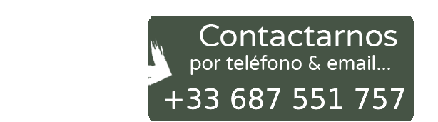 contact chalets de fiolles